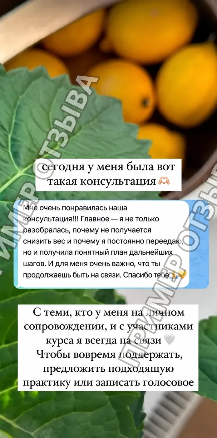 Пример отзыва клиента